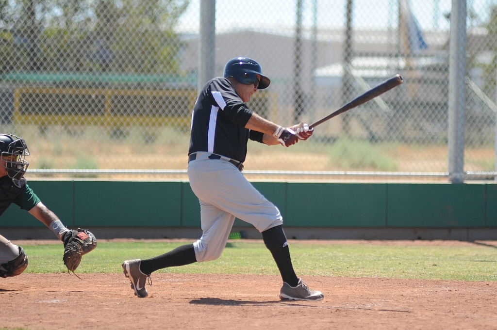 Seals_2019-08-25 (310).JPG - (c)2010 DeVetter